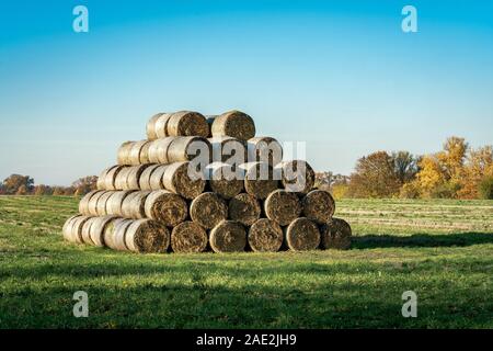 Fröhlichen herbst Szene mit Rundballen Stroh auf der grünen Wiese im hellen Sonnenschein Stockfoto