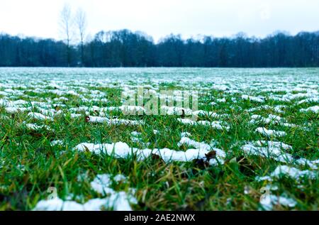 Low shot Der erste Schnee auf Rasen im Park Englisher Garten, München Stockfoto