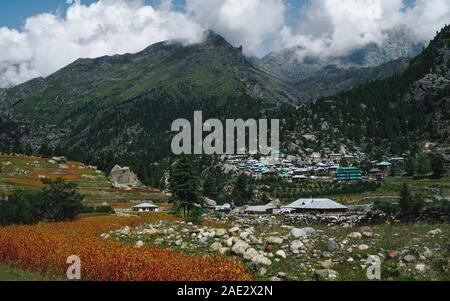 Rackham Dorf umgeben von Pinien und durch Himalayan Peaks und roten Olga Erntegut und Stein Geröll unter blauem Himmel in Himachal Pradesh, Indien flankiert. Stockfoto