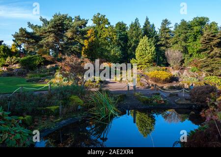 Herbstfarben im Steingarten Teich in Royal Botanic Garden, Edinburgh, Schottland, Großbritannien Stockfoto