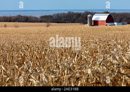 Quinney, Wisconsin - eine Farm am Ufer des Lake Winnebago. Stockfoto
