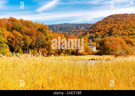 Schöne Landschaft der Wald auf dem Berg Onuma Teich mit buntes Laub im Herbst Jahreszeit und den blauen Himmel bei Onuma Teich Wanderweg in Stockfoto