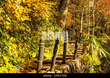 Ansicht des Onuma Teich Wanderweg und das bunte Laub im Herbst Jahreszeit in Towada Hachimantai Nationalpark, Akita Präfektur, Japan. Stockfoto