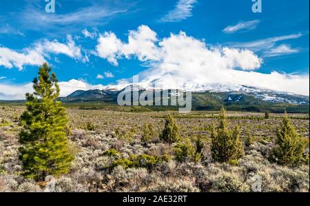 Blick auf den Mount Shasta in Nordkalifornien Stockfoto