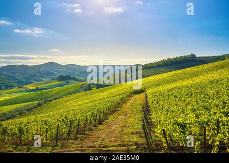 Radda in Chianti Weinberg und Panorama bei Sonnenuntergang im Herbst. Toskana, Italien Europa. Stockfoto