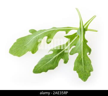 Frische Rucola Blätter auf weißem Hintergrund Stockfoto