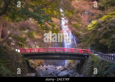 Minoo Wasserfall in farbenfrohen Herbst mit Red Maple Leaf Herbst Laub und schöne Rote Brücke. (Minoo Park, Osaka, Japan). Stockfoto