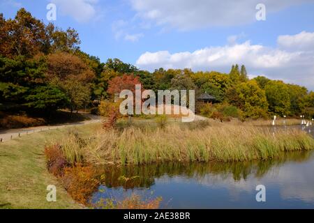 88 See, Lake Side, Seoul Olympic Park, am See, Gras, blauer Himmel, Grün, Rot, Orange, Gelb, Fallen, Farben, Orange und Gelb, saisonalen Farben, Herbst Stockfoto