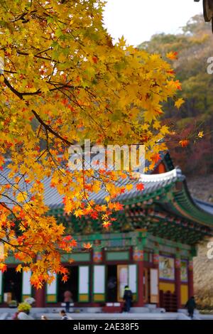 Naejangsa Naejangsan Tempels, Nationalpark, saisonalen Farben, Herbstlaub, Herbstfarben, historische Tempel Stockfoto