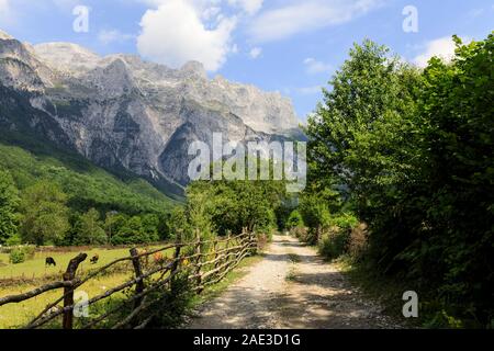 Tal von Theth mit einem Feldweg in den Dinarischen Alpen in Albanien Stockfoto