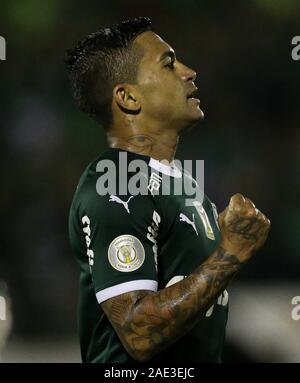 Campinas, Brasilien. 05 Dez, 2019. siebte Runde der brasilianischen Meisterschaft, Serie A, an der Prinzessin Earring Golden Stadion. Credit: Cesar Greco/FotoArena/Alamy leben Nachrichten Stockfoto