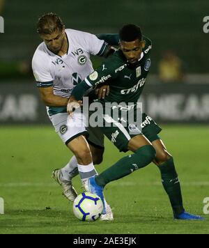 Campinas, Brasilien. 05 Dez, 2019. siebte Runde der brasilianischen Meisterschaft, Serie A, an der Prinzessin Earring Golden Stadion. Credit: Cesar Greco/FotoArena/Alamy leben Nachrichten Stockfoto