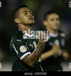 Campinas, Brasilien. 05 Dez, 2019. siebte Runde der brasilianischen Meisterschaft, Serie A, an der Prinzessin Earring Golden Stadion. Credit: Cesar Greco/FotoArena/Alamy leben Nachrichten Stockfoto