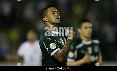 Campinas, Brasilien. 05 Dez, 2019. siebte Runde der brasilianischen Meisterschaft, Serie A, an der Prinzessin Earring Golden Stadion. Credit: Cesar Greco/FotoArena/Alamy leben Nachrichten Stockfoto