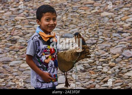 Amerikanische Turmfalke (Falco sparverius) und Freund, Parque Condor, Otavalo, Ecuador Stockfoto