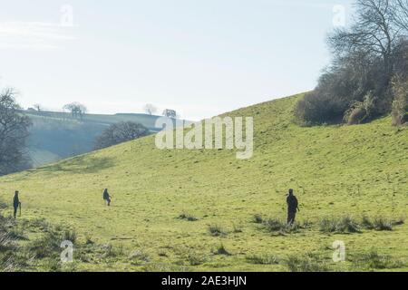 Schießen Fasane in Großbritannien Stockfoto