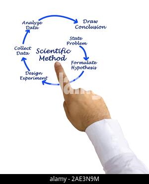 Wissenschaftliche Methode Stockfoto