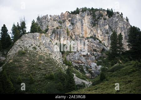 Schöner Panoramablick auf die ländliche alpine Landschaft mit Kühe grasen in frischen grünen Wiesen neath schneebedeckten Gipfeln an einem sonnigen Tag im Frühjahr, N Stockfoto