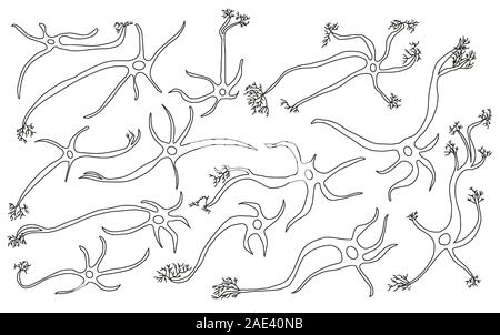 Neuron Zellen gesetzt. Sammlung von Gehirn neurocyte. Vektor illustartion in doodle Stil. Stock Vektor