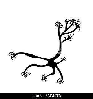 Neuron Zelle isoliert. Gehirn silhouette Zelle mit axones und Dendriten. Vektor illustartion. Stock Vektor