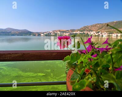 Volos, Griechenland. Topf mit Blume und unscharf Blick von einem Cafe am See Orestiada, im schönen Tag Licht. Stockfoto