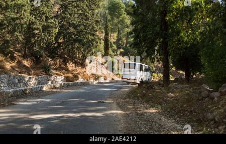 Ein weißer Bus Eingabe der kedoshim Märtyrer Wald in der Nähe von Jerusalem mit einer Steinmauer entlang der Straße und fleckiges Sonnenlicht durch die Bäume Stockfoto