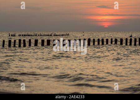 Sonnenuntergang an der Küste von Mielno mit im Vordergrund Wellenbrecher auf die Möwen sitzen, Polen 2019. Stockfoto