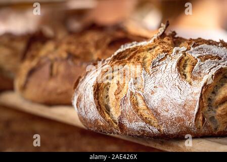 Runde Brot close-up. Frisch gebackenes Sauerteigbrot mit einer goldenen Kruste auf Bäckerei Regale. Bäcker Zusammenhang mit leckerem Brot. Gebäck. Stockfoto