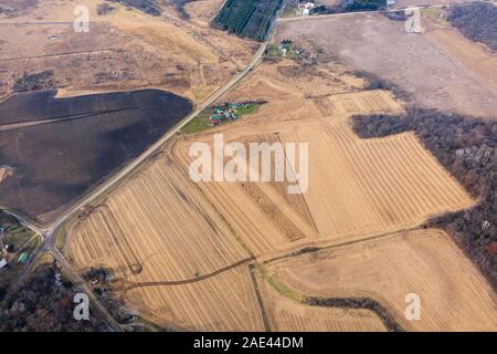 Luftbild der Maisernte in ländlichen, Northwest Dane County, Wisconsin, USA. Stockfoto