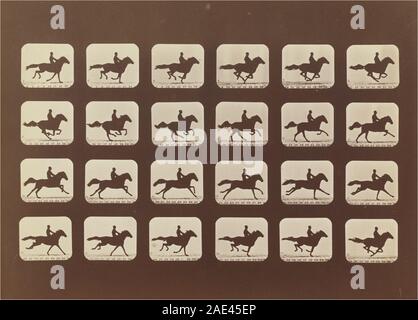 Pferde. Ausgeführt wird. Phyrne L. Nr. 40; 1879 Datum Eadweard Muybridge, Pferde laufen Phyrne L Nr. 40, 1879 Stockfoto