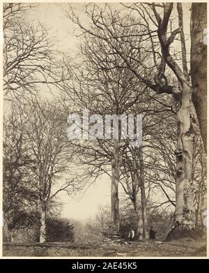 Queen Adelaide von Buche; 1864 Datum Earl von Caithness und William Bambridge, Königin Adelaide von Buche, 1864 Stockfoto