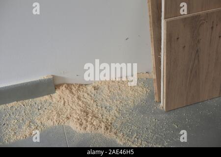 Neues Laminat oder Parkett Installation im Haus Stockfoto