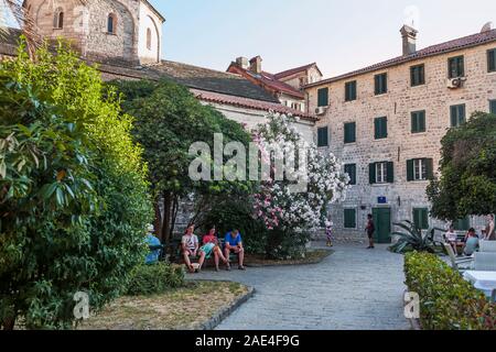 Trg od Drva (Holz), Bazilika Svete Marije Koleđate (St. Mary's Stiftskirche), Kotor, Montenegro Stockfoto