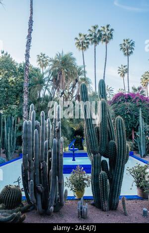 Jardin Majorelle in Marrakesch, Marokko Stockfoto