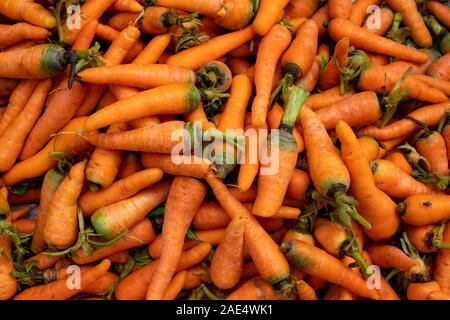 Full Frame Bild von frischen hellen orange Karotten verkauft in einem Markt, in Mandalay, Myanmar (Birma) Stockfoto