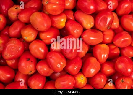 Full Frame Bild von frischen hellen roten Roma Tomaten verkauft in einem Markt, in Mandalay, Myanmar (Birma) Stockfoto