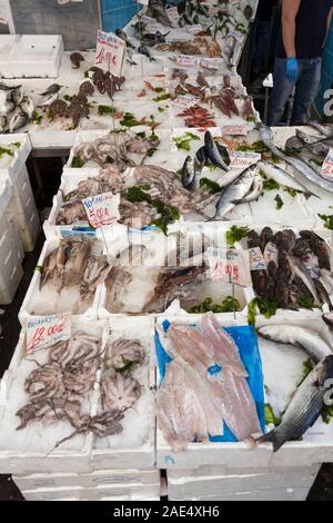 Fischhändler im La Pignasecca Markt im Zentrum von Neapel, Kampanien, Italien, Europa Stockfoto