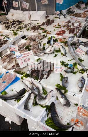 Fischhändler im La Pignasecca Markt im Zentrum von Neapel, Kampanien, Italien, Europa Stockfoto