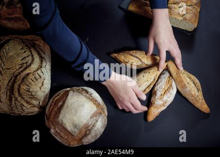 Verschiedene französische Brot, wie Baguette, petits Schmerzen & Laibe von Sauerteig, Pain de Campagne, einige, die von weiblichen Händen ein Bäcker. Diese brea Stockfoto