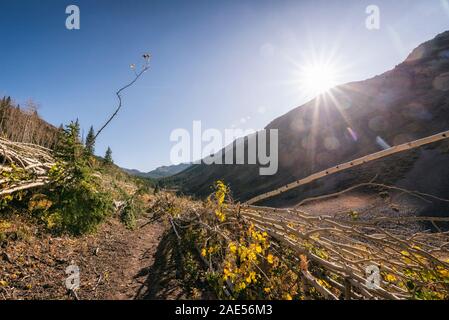 Lawine Trümmerfeld in den kastanienbraunen Bells-Snowmass Wildnis Stockfoto