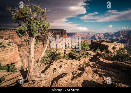 Dramatischer Blick über Grand Canyon, während ein Gewitter Ansätze Stockfoto