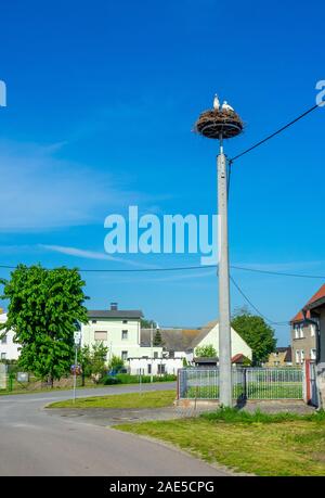 Zwei Weißstörche nisten in einem auf einer vom Menschen gebauten Nestplattform. Stockfoto