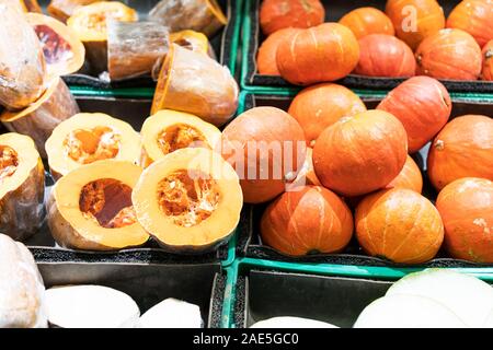 Herbst noch Leben mit Kürbisse, Maiskolben und Blätter auf Holz- Hintergrund Stockfoto