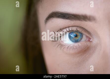 Makro Foto von einer jungen Frau, Auge. Stockfoto
