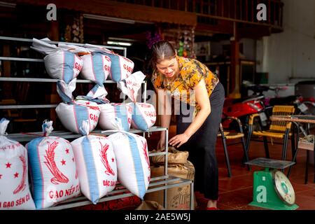 Tu Le, Mu Cang Chai, Yen Bai Provinz, Vietnam - am 18. September 2019: eine ethnische Frau bereitet neue Reis zum Verkauf. Die frisch geernteten Reis ist immer Stockfoto