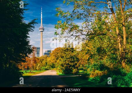 Toronto CN Tower durch Bäume von Torontos Stadtzentrum Insel gesehen Stockfoto