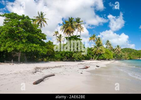 Ao Nang Strand auf der Insel Providencia, Kolumbien. Stockfoto