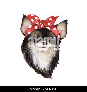 Süßer Hund tragen Bandana Stockfoto