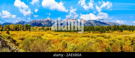Herbst Farben umgibt, und die Wolke bedeckte Gipfel der Grand Tetons in Grand Tetons National Park. Von Schwarz mit Blick auf die Teiche in der Nähe von Jackson Hole WY gesehen Stockfoto