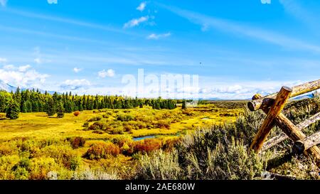 Herbst Farben entlang der Snake River, Grand Teton National Park. Von Schwarz mit Blick auf die Teiche in der Nähe von Jackson Hole, Wyoming, USA gesehen Stockfoto